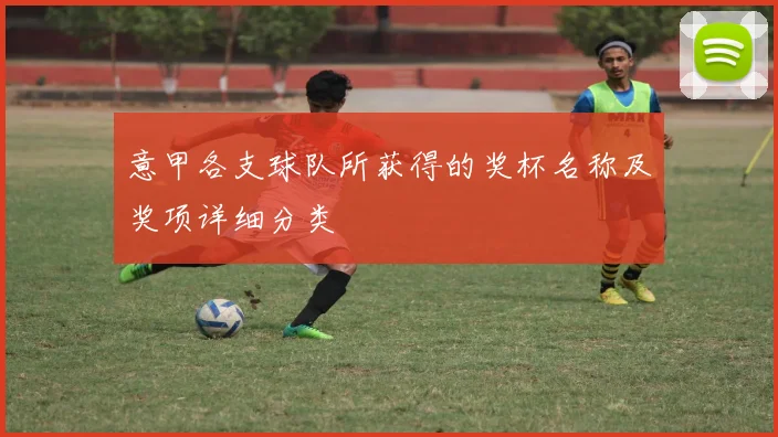 意甲各支球队所获得的奖杯名称及奖项详细分类