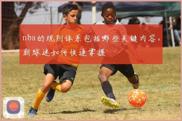 nba的规则体系包括哪些关键内容，新球迷如何快速掌握