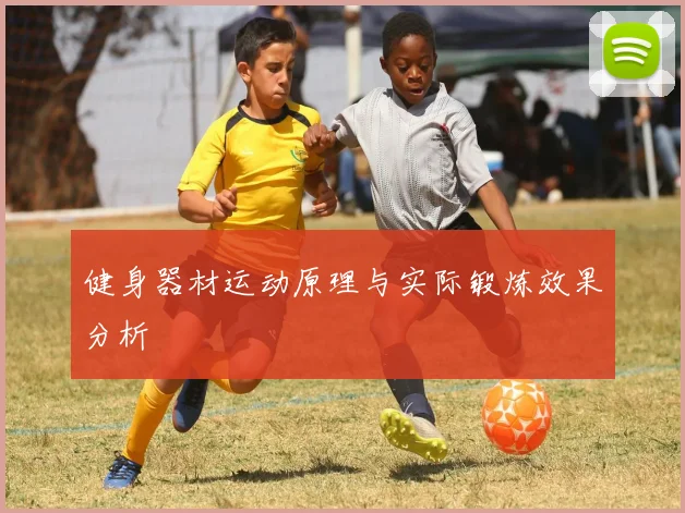 健身器材运动原理与实际锻炼效果分析