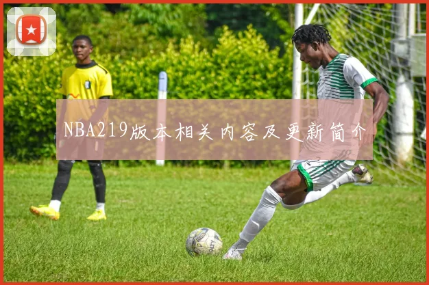 NBA219版本相关内容及更新简介