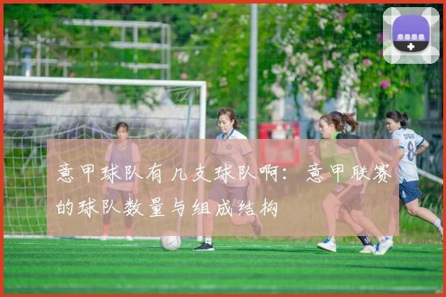 意甲球队有几支球队啊：意甲联赛的球队数量与组成结构